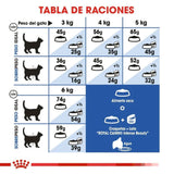 ROYAL CANIN INDOOR CAT 7LB 3.1 KG